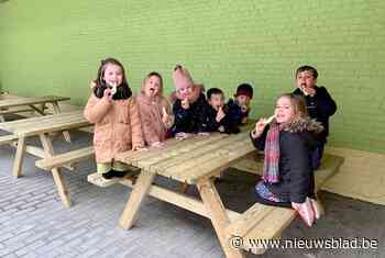 Meer fruit op splinternieuwe picknickbanken (Lebbeke) - Het Nieuwsblad