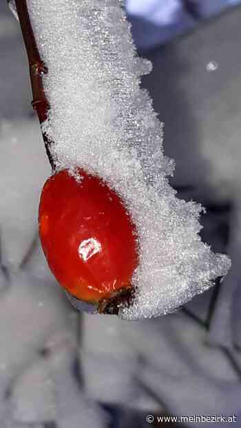 Hohe Wand: Zwei winterliche Schnappschüsse ... - Neunkirchen - meinbezirk.at