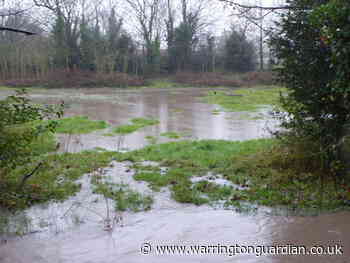 Dozens object to build new house on Well Lane Meadow