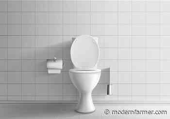 Liquid Gold: How Stronger Food Systems Can Start In Your Toilet - Modern Farmer