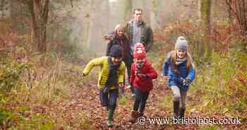 Winter walks in Bristol where you can pick up takeaway food and drink - Bristol Live