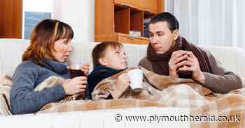 Council to give more than £900,000 worth of food and support to Plymouth families - Plymouth Live