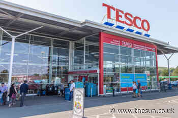 Tesco stockpiles ‘long life’ products and warns of temporary fresh food shortages amid fears of Brexit del - The Sun
