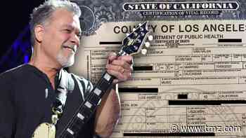 Eddie Van Halen Cremated, Ashes to be Scattered in Ocean Off Malibu