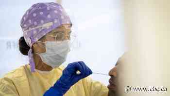 In Ottawa's rush to buy PPE, companies with little or no experience got some of the biggest contracts