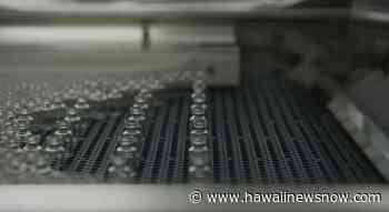 Hawaii medical community briefs lawmakers on vaccine - Hawaii News Now