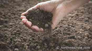 Saskatoon, Sask. based company launches carbon program - northeastNOW