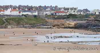 Swimmers rescued by surfers after getting swept in sea at Tynemouth