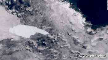 One of the largest icebergs could endanger an island's wildlife