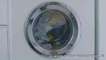 Mikrofaser-Management - National Geographic Deutschland