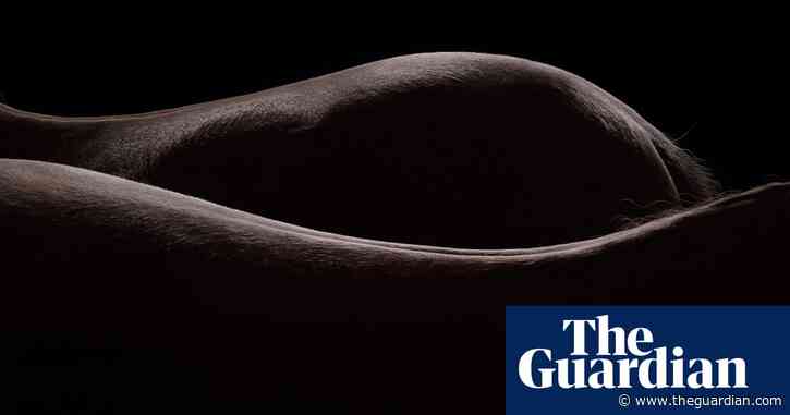 Masked Horses: photographs by Tim Flach