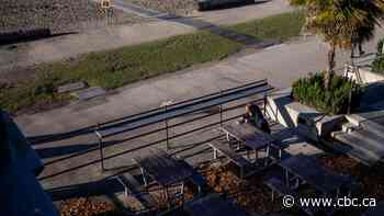 Living alone during the pandemic? Tips on how to make the best of the holidays