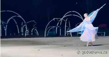 Pop-up ballet performance in Abbotsford, B.C. park aims to lighten COVID-19 gloom