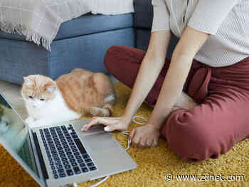 Australian study shows working in pyjamas does not hurt productivity