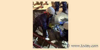 Boy, 4, pulled from well in thrilling rescue caught on camera