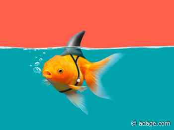 Opinion: Why smaller agencies are winning big 