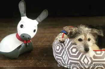 Your next therapy dog could be a biomimetic robot