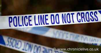 Pensioner killed in tragic North Tyneside collision in named