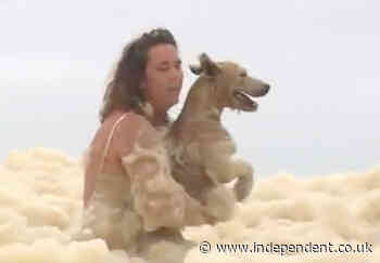 Dog rescued from sea foam on Australian beach as storms batter east coast