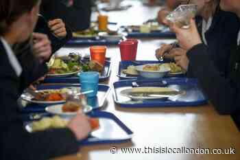 Sutton Council launch free school meals scheme