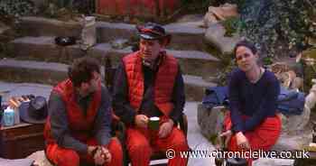 I'm A Celebrity voting mystery as fans demand ITV reveal stats