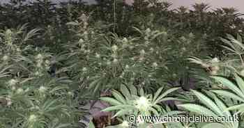 Duo arrested after suspected dealer accidentally shows police video of drugs