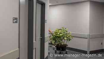 Purpose: Warum Führungskräfte sich um Sinnstiftung kümmern sollten