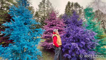 Long Island Christmas tree farm gets magical rainbow makeover