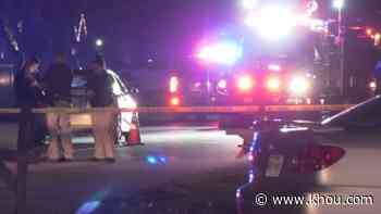 2 teen brothers identified as victims in Fort Bend County shooting - KHOU.com