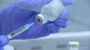 COVID vaccine update: Rep. Sheila Jackson Lee, Houston Mayor Sylvester Turner describe next steps - KTRK-TV