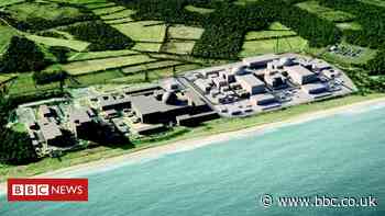 Sizewell C: Government in talks to fund £20bn nuclear plant