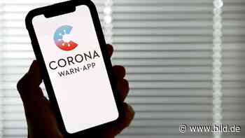 Kritik an Corona-App: „Datenschutz muss bei Lebensgefahr zurückstehen“ - BILD