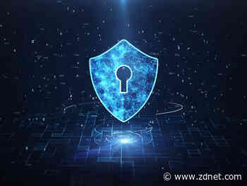 Fitzsimmons claims trust is always factored into government-built tech systems