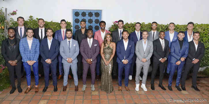 'The Bachelorette' 2020: Tayshia's Final Four Guys Revealed Ahead of Family Visits