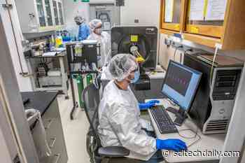 Breakthrough Could Lead to Single-Molecular Systems for Both Diagnosing and Treating Cancer in Real Time