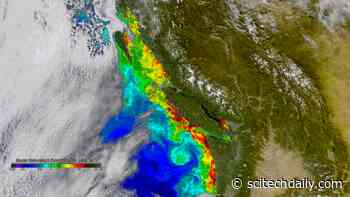 Highly Toxic Algal Blooms on the US West Coast Triggered by Ocean Heatwave