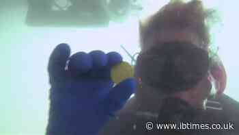 Treasure hunter who refuses to reveal location of gold coins marks 5th year in jail