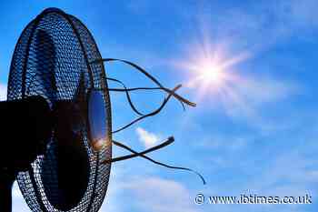 Fan-blown air can help advanced cancer patients breathe easier