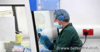 Coronavirus NI latest figures show four further deaths according to DoH - Belfast Live