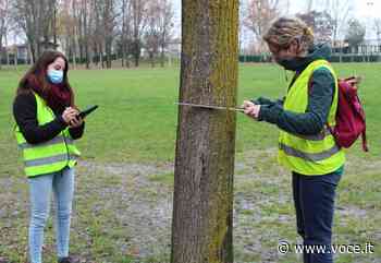 Al via il censimento del verde a Soliera - Voce di Carpi