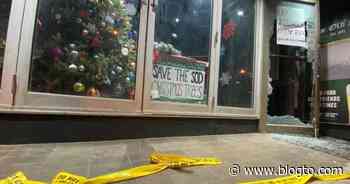 Toronto bar robbed while attempting to stay in business by selling Christmas trees - blogTO
