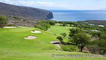 Larry Ellison: Oracle zieht nach Texas - aber der Chef auf seine Privatinsel in Hawaii