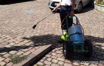 A Erba il "patto" tra Comune e Ambientalisti: "Stop al glifosato che uccide le api" - ComoZero