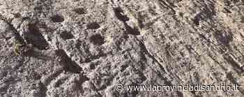 Archeologo in erba scopre delle coppelle Forse sono del Neolitico - La Provincia di Sondrio