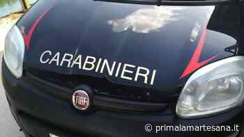 Arrestato mentre stava rubando... l'erba sintetica - Prima la Martesana