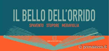 Il bello dell'Orrido presenta "Ami" di Edoardo Erba - Prima Lecco