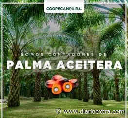 Nueva Cooperativa Abre En Parrita Diario Extra Costa Rica Parrita Newslocker