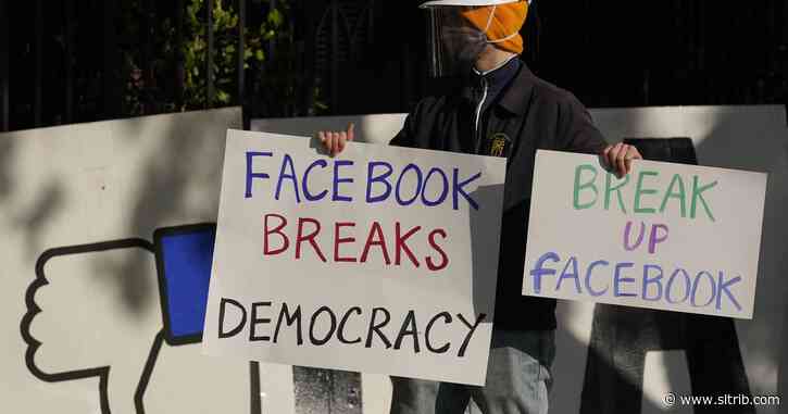 Tim Wu: Facebook cannot but its way out of competition