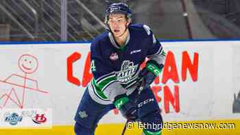 Hurricanes trade Zach Ashton to Vancouver - Lethbridge News Now