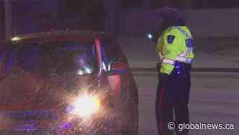 Lethbridge police issue impaired driving sanction as check stop campaign begins | Watch News Videos Online - Globalnews.ca